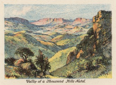 Güney Afrika: Bin Tepe Vadisi, Natal (renkli litografi) by Charles Ernest Peers