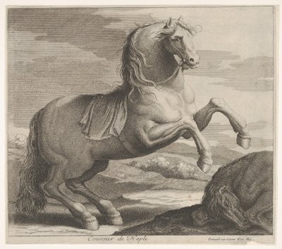 Napoli