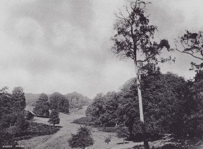 Knole Parkı (s/b fotoğraf) by Charles Essenhigh Corke