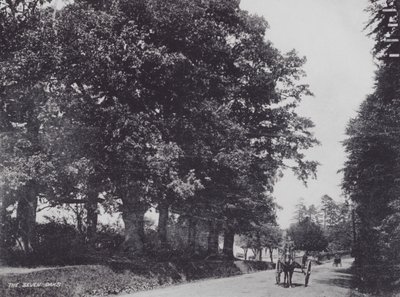 Seven Oaks (s/b fotoğraf) by Charles Essenhigh Corke