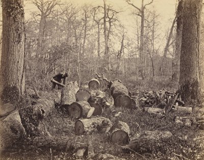 Fontainebleau Ormanı by Charles Famin