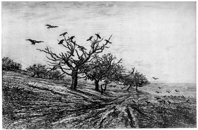 Kuzgun Ağacı, 1840-1875, 1924 by Charles Francois Daubigny