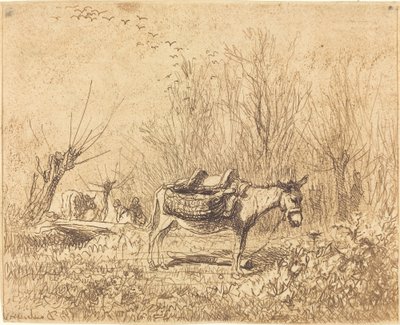 Tarladaki Eşek (L'Ane au pre) by Charles Francois Daubigny