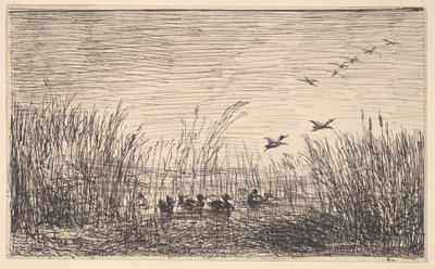 Bataklıklarda Ördekler, [1862], 1921