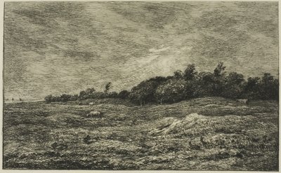 Villerville'deki Pre des Graves (Calvados) by Charles Francois Daubigny