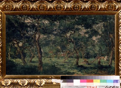 "Zeytinlik" (Zeytin Bahçesi) Tablosu Charles Francois Daubigny (1817-1878) 1870-1873 Puşkin Müzesi, Moskova by Charles Francois Daubigny