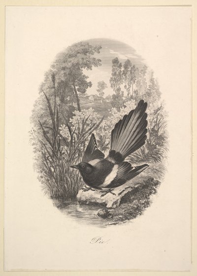 Saksağan, 1843. by Charles Francois Daubigny