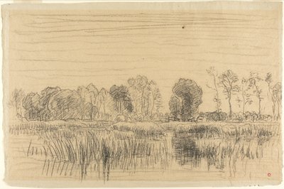 Bataklık ve Ağaçların Perdesi by Charles Francois Daubigny