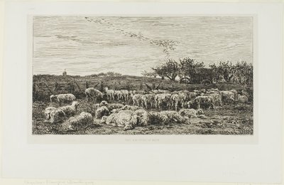 koyun ile çayır by Charles Francois Daubigny