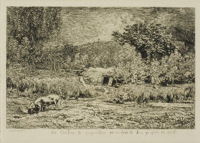 bir meyve bahçesinde domuz by Charles Francois Daubigny