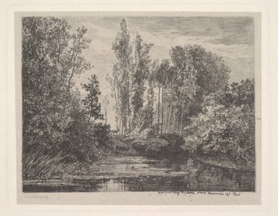 Waters Edge