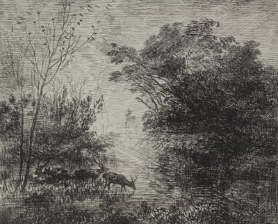 Geyikler, orijinal izlenim 1862, 1921