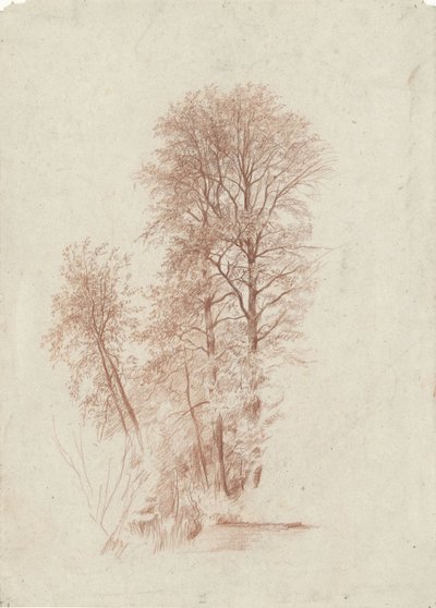 Yapraktaki iki ince ve bazı küçük ağaçların incelenmesi by Charles Francois Daubigny
