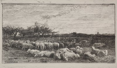 Büyük Koyun Ağı, orijinal izlenim 1862, 1921
