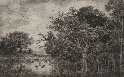 Leyleklerle Bataklık by Charles Francois Daubigny