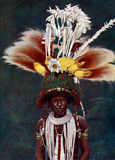 Bir tören dansı için giyinmiş bir Roro şefi, Papua Yeni Gine, 1920. by Charles Gabriel Seligman