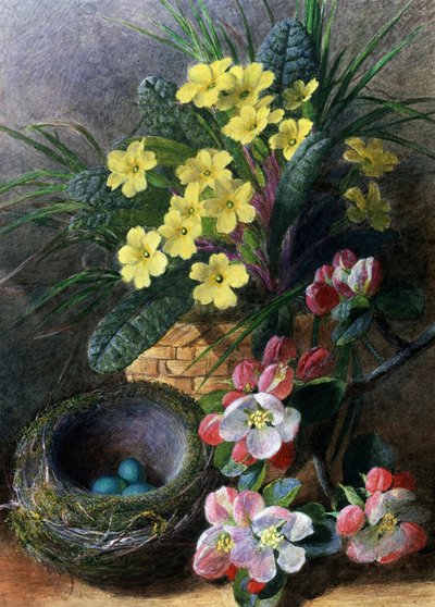 Elma Çiçekleri ve Çuha Çiçeği. Bir yuva ve çiçeklerle natürmort. Charles Henry Slater (1820-1890) tarafından yapılmıştır Özel koleksiyon by Charles H. Slater