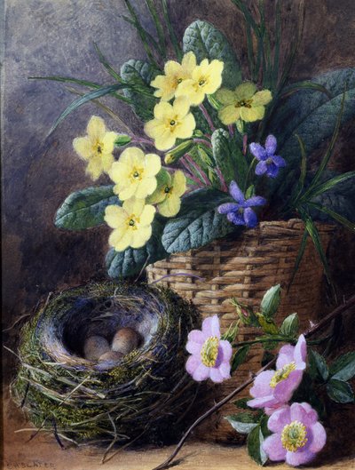 Çuha Çiçeği, Menekşe ve Güllerle Natürmort. Yuva, yumurta ve çiçeklerle natürmort. Charles Henry Slater (1820-1890) tarafından yapılmıştır Özel koleksiyon by Charles H. Slater