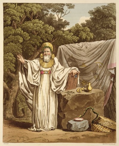 Yargısal Alışkanlığında Bir Arch Druid, Robert Havell (1769-1832) 1815 (aquatint) tarafından oyulmuş by Charles Hamilton Smith