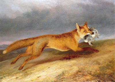Tavşan ile tilki kaçıyor by Charles Hancock