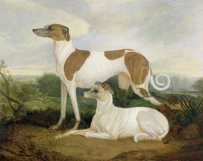 Bir Manzarada İki Tazı by Charles Hancock