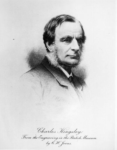 Gezici Albatros, Charles Robert Bree (1811-86) tarafından 