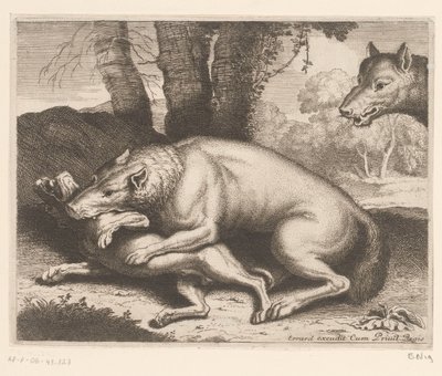 Kurt tarafından saldırıya uğrayan köpek Hayvan serisi (dizi adı) by Charles II Errard (attributed to)
