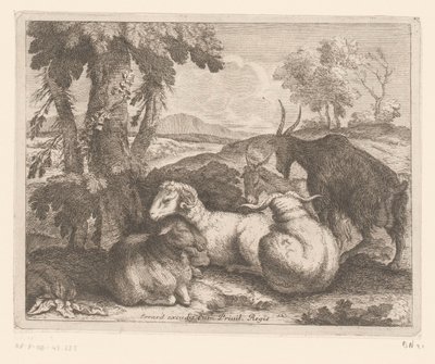 Bir ağacın altında koyun ve keçi Hayvan serisi (dizi adı) by Charles II Errard (attributed to)