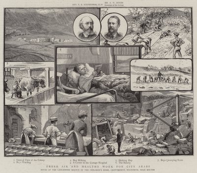 Şehir Arapları için Temiz Hava ve Sağlıklı Çalışma, Bolton yakınlarındaki Crowthorne, Edgworth, Çocuk Yuvası Lancashire Şubesinde Notlar by Charles J. Staniland
