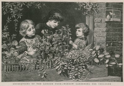 Londra yoksullarının eğlenceleri: Çocuklar için pencere bahçeciliği (gravür) by Charles J. Staniland