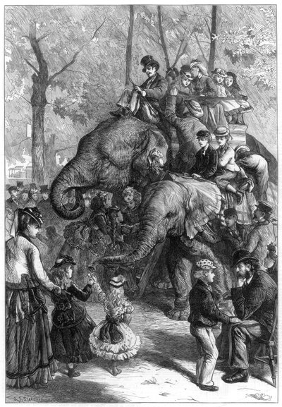 Pazartesi öğleden sonra hayvanat bahçesi bahçelerinde, 1871. by Charles Joseph Staniland