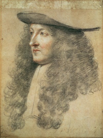 Kral Louis XIV