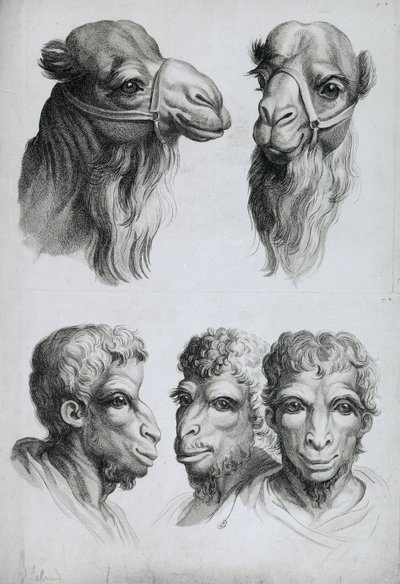 Le Brun