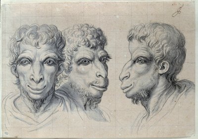 Charles Lebrun (Le Brun) (1619-1690) tarafından deve fizyonomisini hatırlatan üç adam başı çalışmaları 17. yüzyıl. karartmak 0,22x0,32 m. Paris, Louvre Müzesi by Charles Le Brun