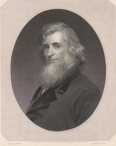 asher kahverengi durand by Charles Loring Elliott