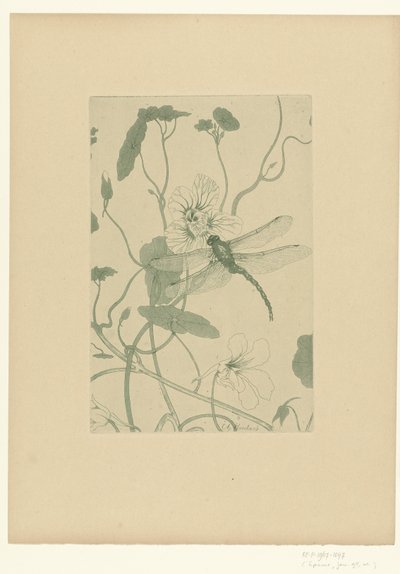 Nasturtium çiçeği üzerinde yusufçuk Fleurs L