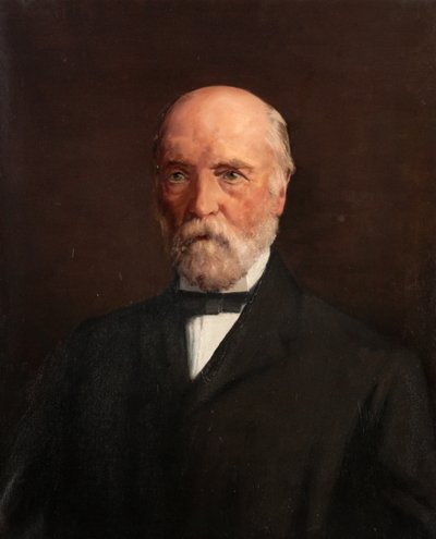 John Robertson (tuval üzerine yağlı boya) by Charles Louis Mitchell