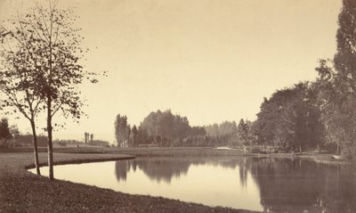 Bois de Boulogne, 1858. by Charles Marville
