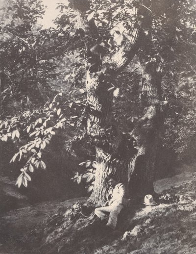 Bir kestane ağacının dibinde yatan adam, 1850-53. by Charles Marville