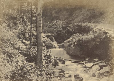  by Charles Marville