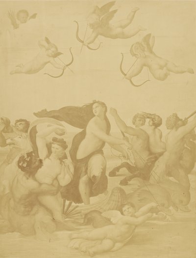 [Galatea