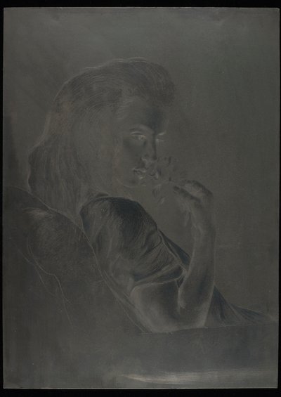 'The Tea Rose' için plaka, 1900 dolayları (çelik baskı plakası) by Charles Maurin
