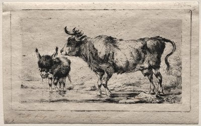 inek ve eşek by Charles Meryon
