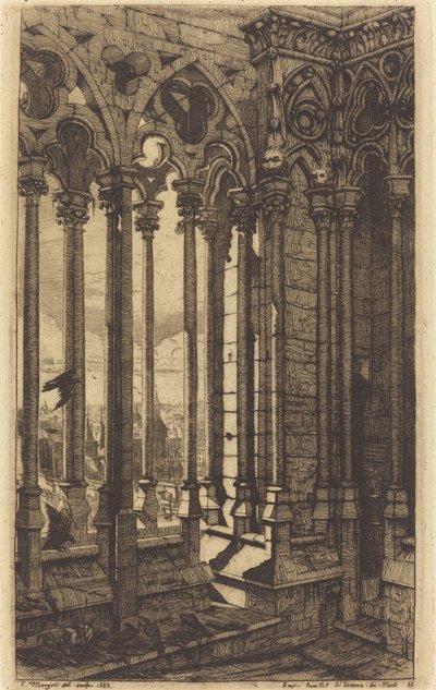 Notre Dame Galerisi, Paris (Notre Dame Galerisi, Paris) by Charles Meryon