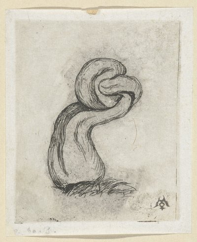 Misvormde paddestoel (Cryptogamae) Malingre Kripto Oyunu by Charles Meryon