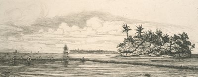 Okyanusya, Uvea