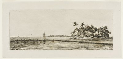 Okyanusya: Balık Tutma, Uea veya Wallis Grubunda Palmiyeli Yakın Adalar, 1845 by Charles Meryon