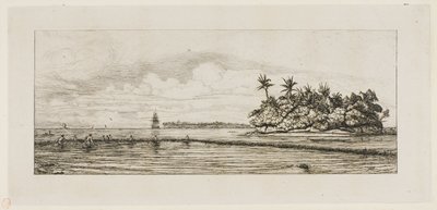 Okyanusya: Balık Tutma, Uea veya Wallis Grubunda Palmiyeli Yakın Adalar, 1845 by Charles Meryon