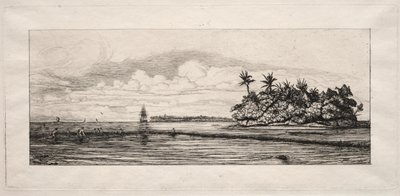 Okyanusya: Uea veya Wallis Grubunda Avuç İçi Olan Adaların Yakınında Balık Tutma, 1863. by Charles Meryon