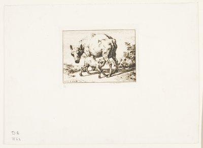İki Kuzulu Koyun by Charles Meryon